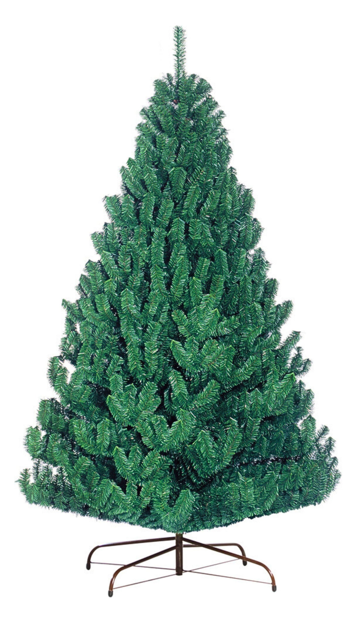 ARBOL CHIHUAHUA VERDE