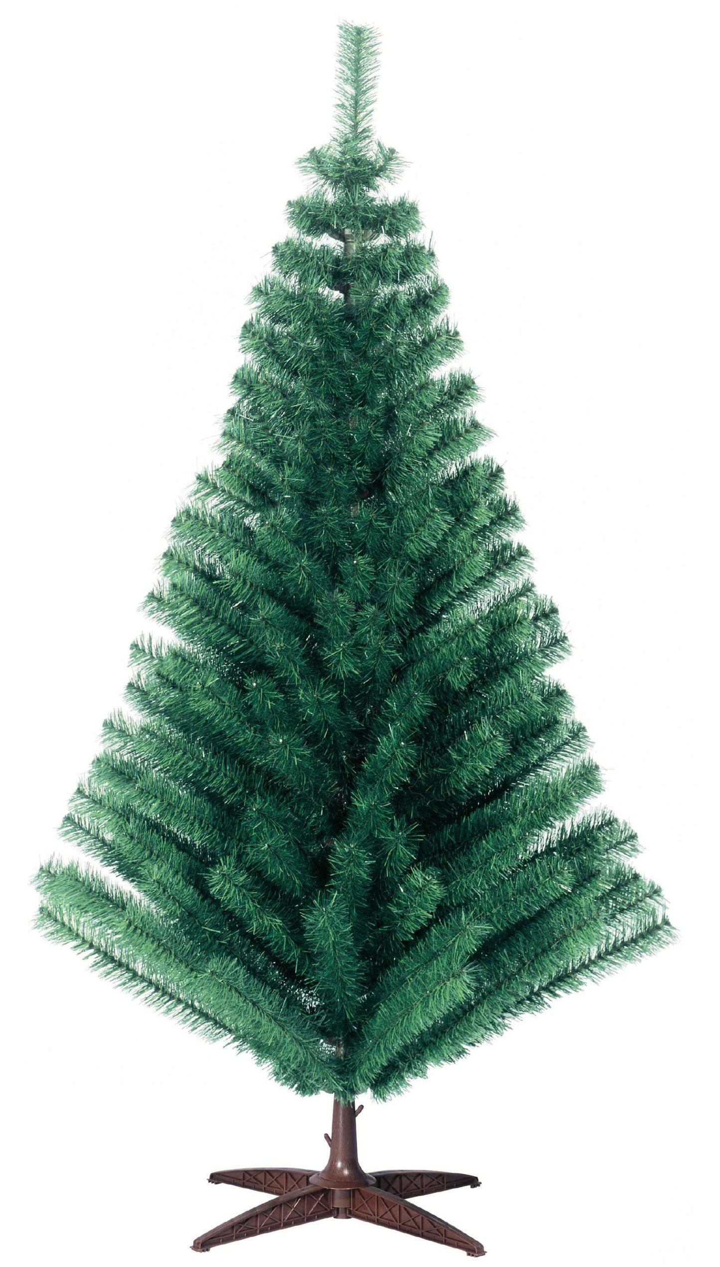 ARBOL HOLANDES VERDE
