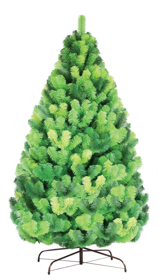 ARBOL TAXCO PRIMAVERA